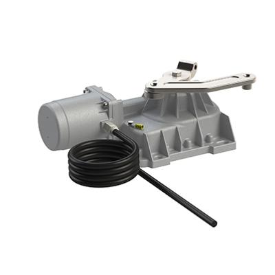 Moteur enterré Brushless 36V avec cable 10m